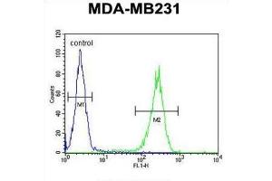 Flow Cytometry (FACS) image for anti-RAB11 Family Interacting Protein 2 (Class I) (RAB11FIP2) antibody (ABIN3002357) (RAB11FIP2 Antikörper)