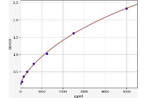 PKM ELISA Kit