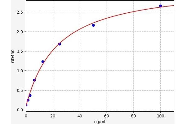 AMY2 ELISA Kit