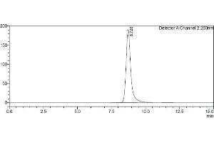 Assessment of protein purity for human Fc gamma RIIa / CD32a (167H) protein by SEC-HPLC. (FCGR2A Protein (AA 36-218) (His-Avi Tag,Biotin))