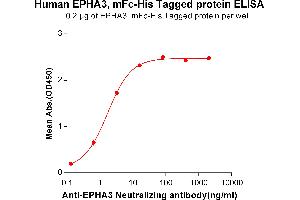 ELISA plate pre-coated by 2 μg/mL (100 μL/well) Human EPHA3, mFc-His tagged protein (ABIN6961115) can bind Anti-EPHA3 Neutralizing antibody in a linear range of 0. (EPH Receptor A3 Protein (EPHA3) (AA 21-541) (mFc-His Tag))