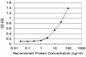 Detection limit for recombinant GST tagged IRAK4 is approximately 1ng/ml as a capture antibody. (IRAK4 Antikörper  (AA 255-351))