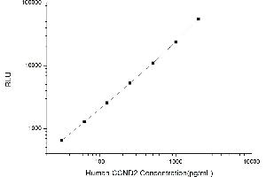 Typical standard curve (Cyclin D2 CLIA Kit)