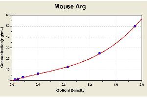 Diagramm of the ELISA kit to detect Mouse Argwith the optical density on the x-axis and the concentration on the y-axis. (Liver Arginase ELISA Kit)