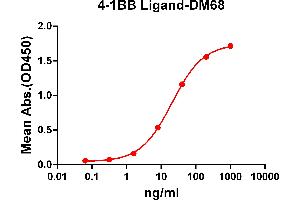 ELISA plate pre-coated by 2 μg/mL (100 μL/well) Human 4-1BB Ligand protein, mFc-His tagged protein ABIN6961118, ABIN7042265 and ABIN7042266 can bind Rabbit anti-4-1BB Ligand monoclonal antibody (clone: DM68) in a linear range of 1-100 ng/mL. (Rekombinanter TNFSF9 Antikörper  (AA 52-254))