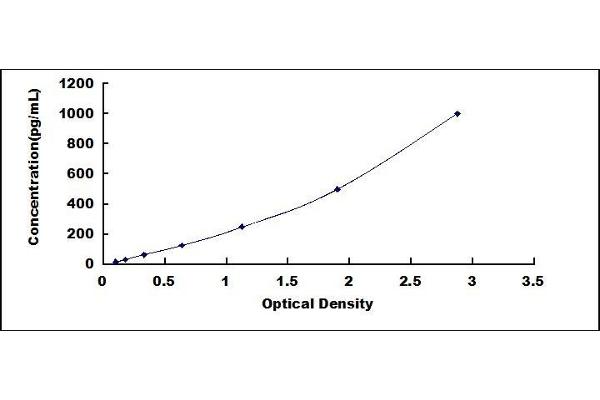 GDF5 ELISA Kit