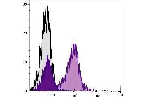 C57BL/6 mouse splenocytes were stained with Hamster Anti-Mouse CD79b-PE. (CD79b Antikörper  (PE))