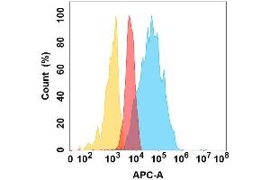 TSLP protein is highly expressed on the surface of Expi293 cell membrane. (Thymic Stromal Lymphopoietin Antikörper)