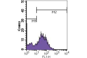 Flow Cytometry (FACS) image for anti-CD7 (CD7) antibody (FITC) (ABIN2144471) (CD7 Antikörper  (FITC))