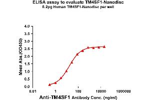 Elisa plates were pre-coated with Flag Tag TM4SF1-Nanodisc (0. (TM4SF1 Protein)