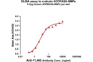 Elisa plates were pre-coated with 0. (Adenosine A2a Receptor Protein (ADORA2A))