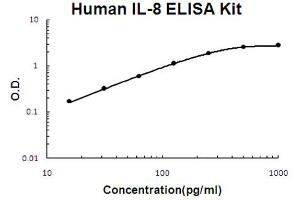 ELISA image for Interleukin 8 (IL8) ELISA Kit (ABIN6719988)