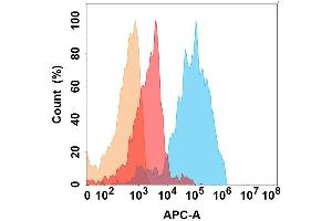 IL11RA protein is highly expressed on the surface of Expi293 cell membrane. (IL11RA Antikörper)