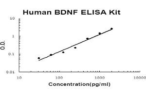 ELISA image for Brain-Derived Neurotrophic Factor (BDNF) ELISA Kit (ABIN6719746)