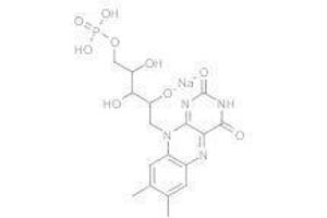 Flavin mononucleotide (Flavin mononucleotide)