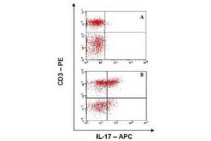 Image no. 1 for anti-Interleukin 17A (IL17A) antibody (APC) (ABIN230413) (Interleukin 17a Antikörper  (APC))