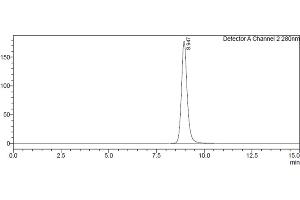 Assessment of protein purity for human Fc gamma RIIb / CD32b protein by SEC-HPLC. (FCGR2B Protein (AA 46-217) (His-Avi Tag))