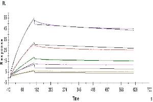 Surface Plasmon Resonance (SPR) image for Leukocyte Immunoglobulin-Like Receptor, Subfamily B (With TM and ITIM Domains), Member 2 (LILRB2) (AA 22-458) protein (Fc Tag) (ABIN7275169)