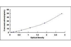 ELISA image for IgG ELISA Kit (ABIN1874228) (IgG ELISA Kit)