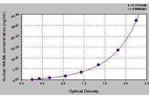 Typical standard curve (NAGA ELISA Kit)