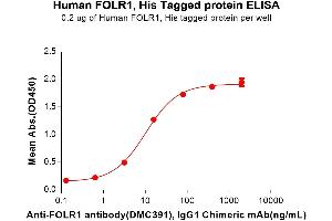 ELISA plate pre-coated by 2 μg/mL (100 μL/well) Human F Protein, His Tag (ABIN7092684, ABIN7272214 and ABIN7272215) can bind Anti-F antibody, IgG1 Chimeric mAb in a linear range of 3. (FOLR1 Protein (AA 25-234) (His tag))