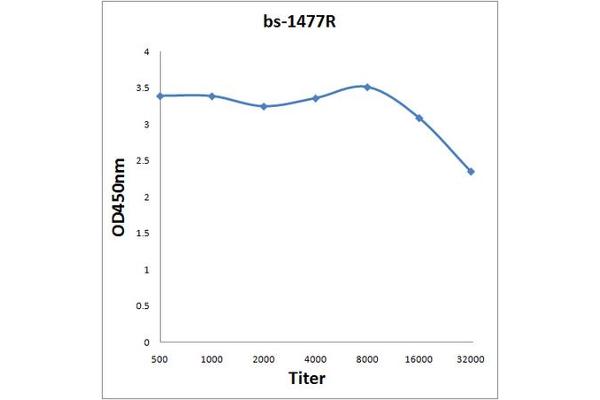 ARFIP1 Antikörper  (AA 255-373)