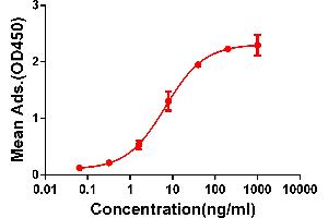 ELISA plate pre-coated by 2 μg/mL (100 μL/well) Human CD28 protein, mFc-His tagged protein ABIN6961087, ABIN7042203 and ABIN7042204 can bind Rabbit anti-CD28 monoclonal antibody (clone: DM63) in a linear range of 1-100 ng/mL. (Rekombinanter CD28 Antikörper  (AA 19-152))