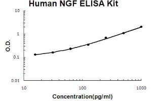 Human NGF/NGF beta Accusignal ELISA Kit Human NGF/NGF beta AccuSignal ELISA Kit standard curve. (NGFB ELISA Kit)