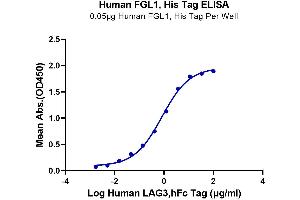 ELISA image for Fibrinogen-Like 1 (FGL1) (AA 64-305) protein (His-Avi Tag) (ABIN7274642)