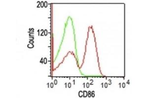 Image no. 1 for anti-CD86 (CD86) antibody (ABIN6185431) (CD86 Antikörper)
