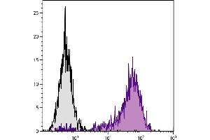 C57BL/6 mouse cytotoxic T lymphocyte cell line CTLL-2 was stained with Rat Anti-Mouse CD25-PE. (CD25 Antikörper)