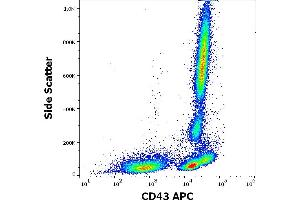 Flow cytometry surface staining pattern of human peripheral whole blood stained using anti-human CD43 (MEM-59) APC antibody (10 μL reagent / 100 μL of peripheral whole blood). (CD43 Antikörper  (APC))