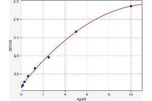 VAT1 ELISA Kit