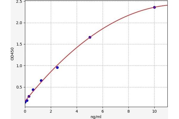 VAT1 ELISA Kit