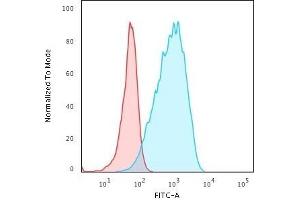 Flow Cytometric Analysis of Raji cells HLA-DP Rabbit Recombinant Monoclonal Antibody (HLA-DPB1/2862R) followed by goat anti-Rabbit IgG-CF488 (Blue); Isotype Control (Red). (Rekombinanter HLA-DPB1 Antikörper)
