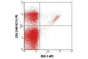 Flow Cytometry (FACS) image for anti-V alpha 2 TCR antibody (APC) (ABIN2658831) (V alpha 2 TCR Antikörper (APC))