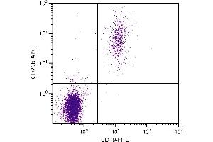 Human peripheral blood lymphocytes were stained with Mouse Anti-Human CD79b-APC. (CD79b Antikörper  (FITC))