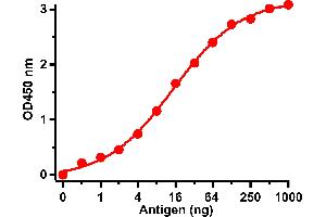 ELISA Test Antibodies: SARS-CoV Spike Antibody, ABIN1031553 (1 μg/mL). (SARS-CoV Spike Antikörper  (N-Term))