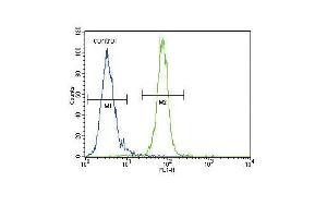 AKT1 Antibody (N-term) h flow cytometric analysis of MDA-M cells (right histogram) compared to a negative control cell (left histogram). (AKT1 Antikörper  (N-Term))