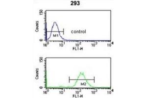 Flow Cytometry (FACS) image for anti-Survival Motor Neuron Domain Containing 1 (SMNDC1) antibody (ABIN3004148) (SMNDC1 Antikörper)