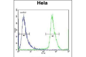 Flow cytometric analysis of Hela cells (right histogram) compared to a negative control cell (left histogram). (NUP35 Antikörper  (C-Term))