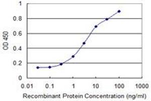 Detection limit for recombinant GST tagged IL4R is 0. (IL4 Receptor Antikörper  (AA 26-135))