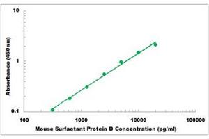 Representative Standard Curve (SFTPD ELISA Kit)