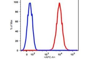 Flow Cytometry (FACS) image for anti-CD90 (THY1) antibody (APC) (ABIN2704360) (CD90 Antikörper  (APC))