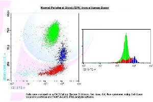 Image no. 1 for anti-Integrin beta 2 (ITGB2) antibody (PE) (ABIN1112070) (Integrin beta 2 Antikörper  (PE))