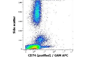 Flow cytometry surface staining pattern of human peripheral whole blood stained using anti-human CD74 (LN2) purified antibody (concentration in sample 1,7 μg/mL, GAM APC). (CD74 Antikörper)