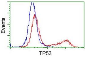 Flow Cytometry (FACS) image for anti-Tumor Protein P53 (TP53) antibody (ABIN1499975) (p53 Antikörper)
