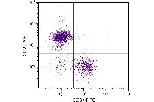 BALB/c mouse splenocytes were stained with Rat Anti-Mouse CD22-APC. (CD22 Antikörper)