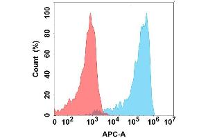 Flow cytometry analysis with Anti-V on Expi293 cells transfected with human V (Blue histogram) or Expi293 transfected with irrelevant protein (Red histogram). (VSIG4 Antikörper)