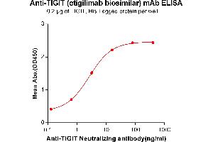 ELISA image for anti-TIGIT (Etigilimab Biosimilar) antibody (ABIN6964437)